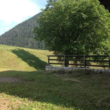 Maggiorina 3*